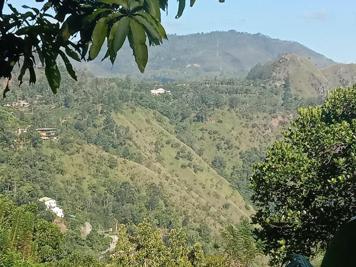 Charming View Homestay 엘라 외부 사진