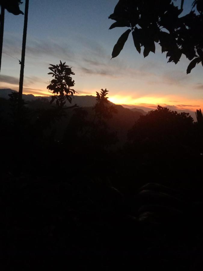 Charming View Homestay 엘라 외부 사진