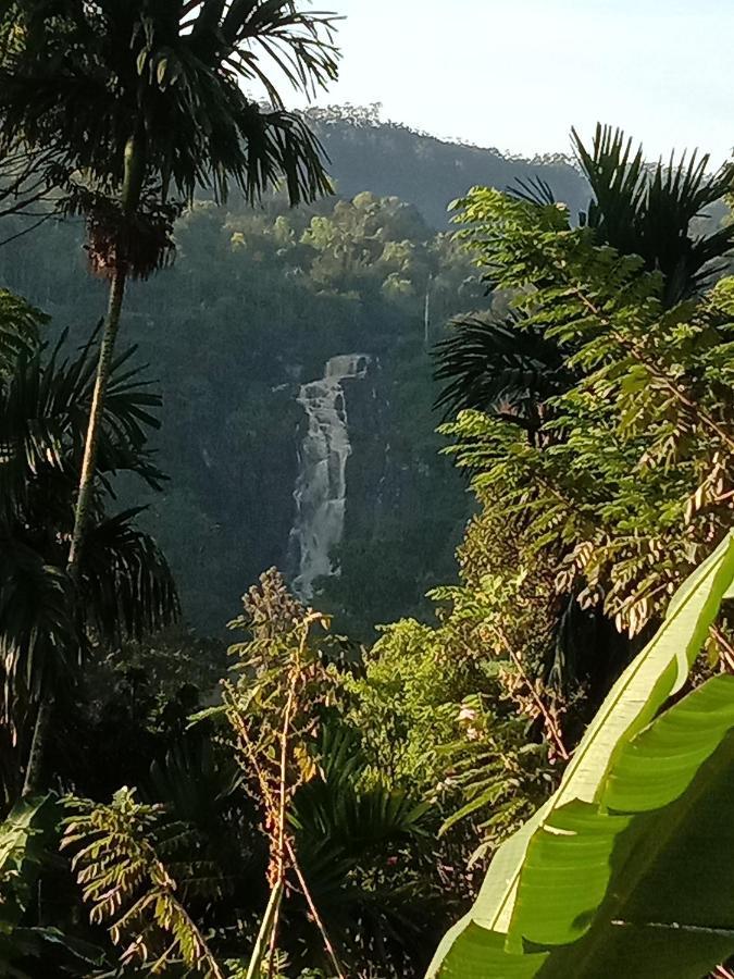 Charming View Homestay 엘라 외부 사진