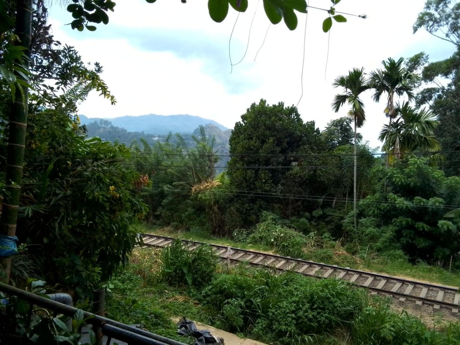 Charming View Homestay 엘라 외부 사진