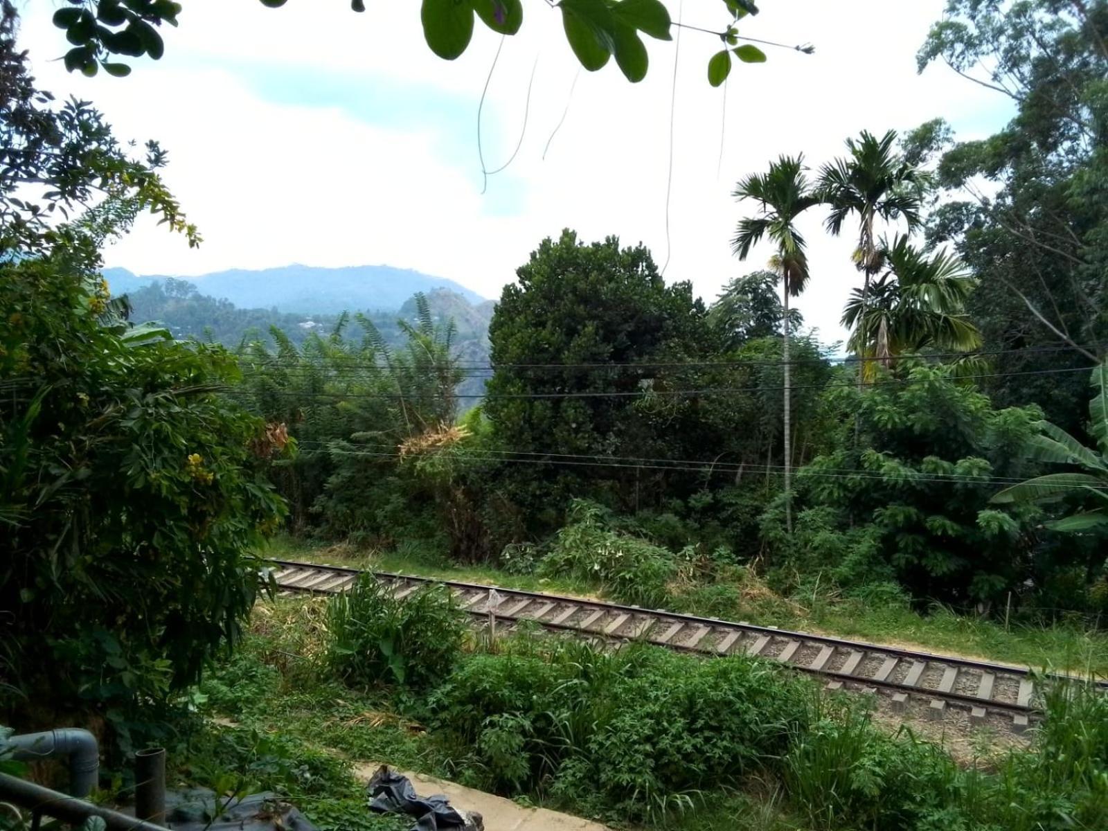 Charming View Homestay 엘라 외부 사진