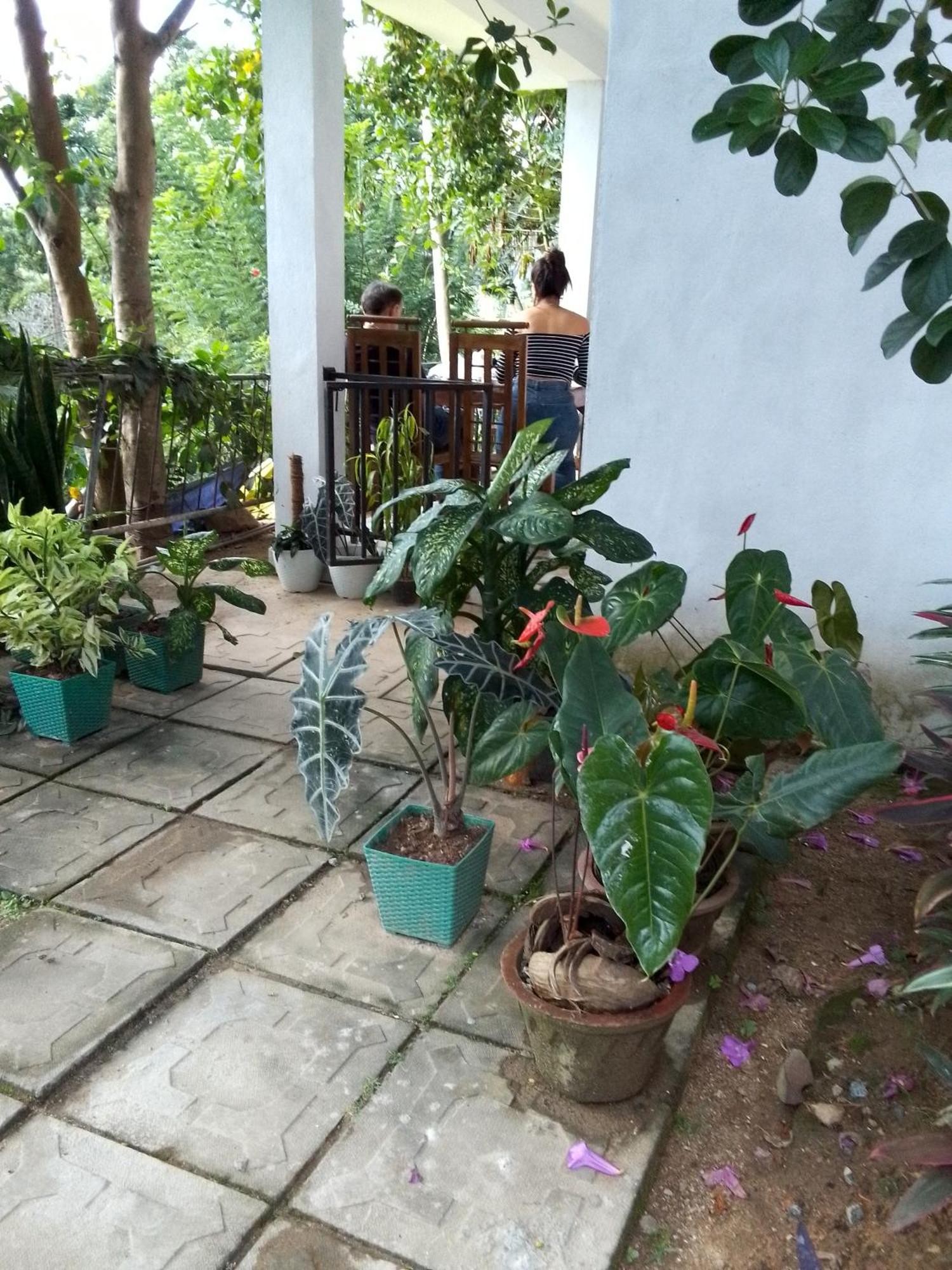 Charming View Homestay 엘라 객실 사진