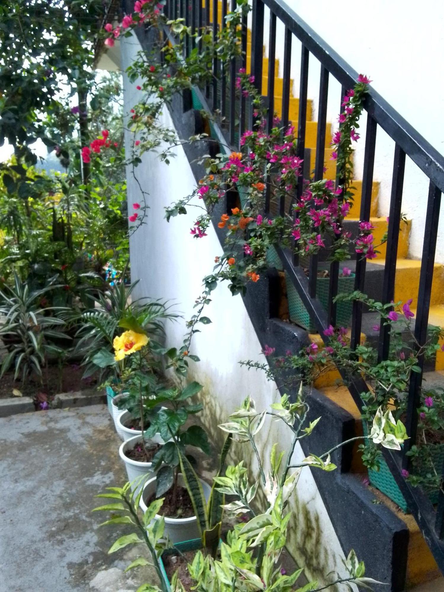 Charming View Homestay 엘라 외부 사진